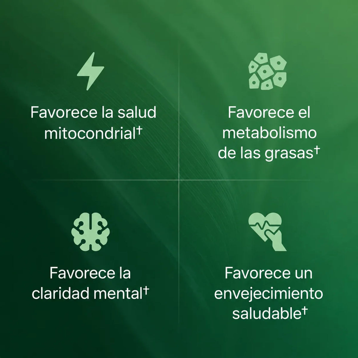 Cápsulas de Amla, la Superfruta