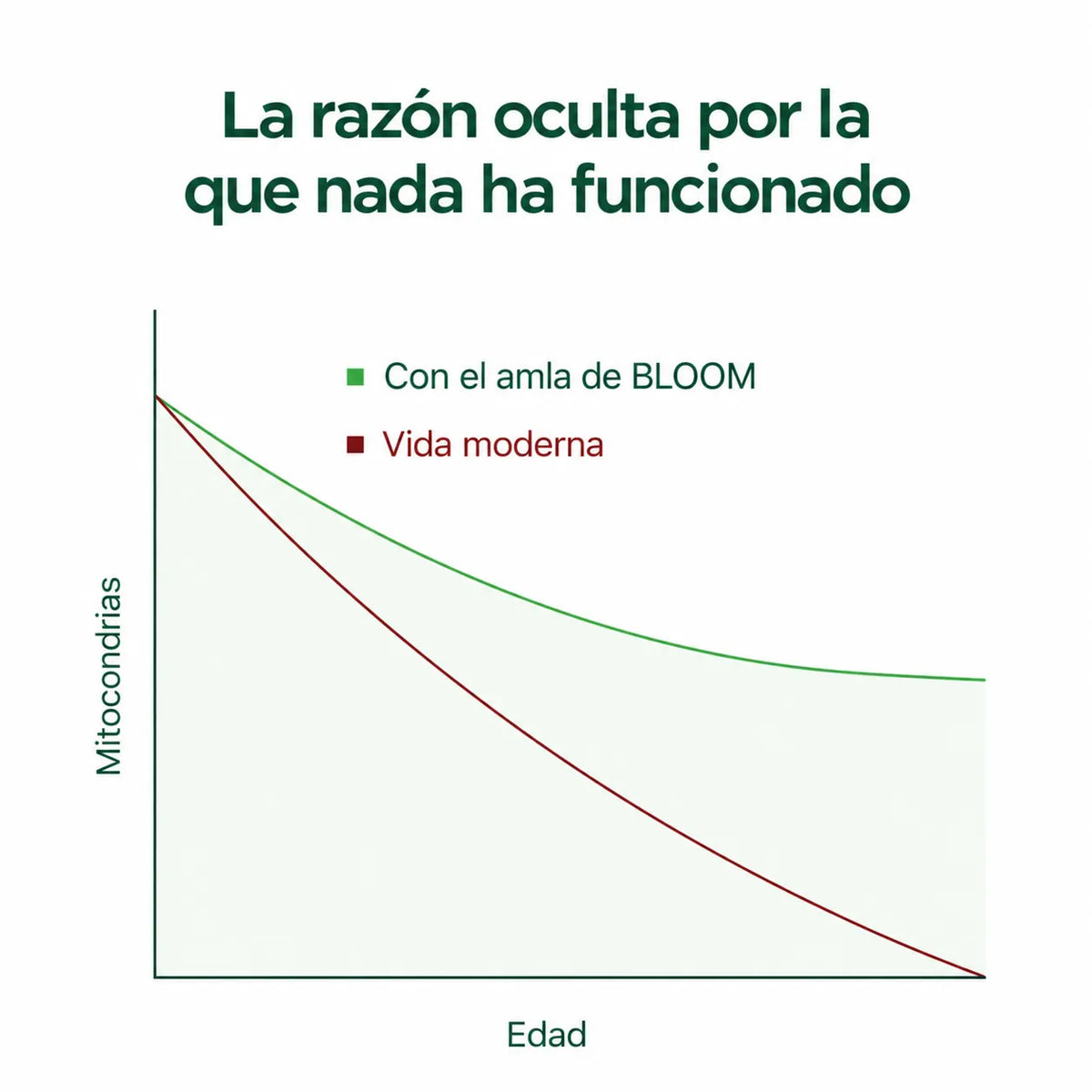 Cápsulas de Amla, la Superfruta