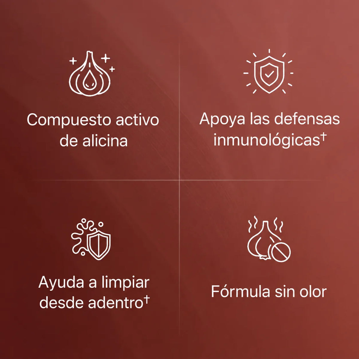 Cápsulas de Extracto de Ajo sin olor